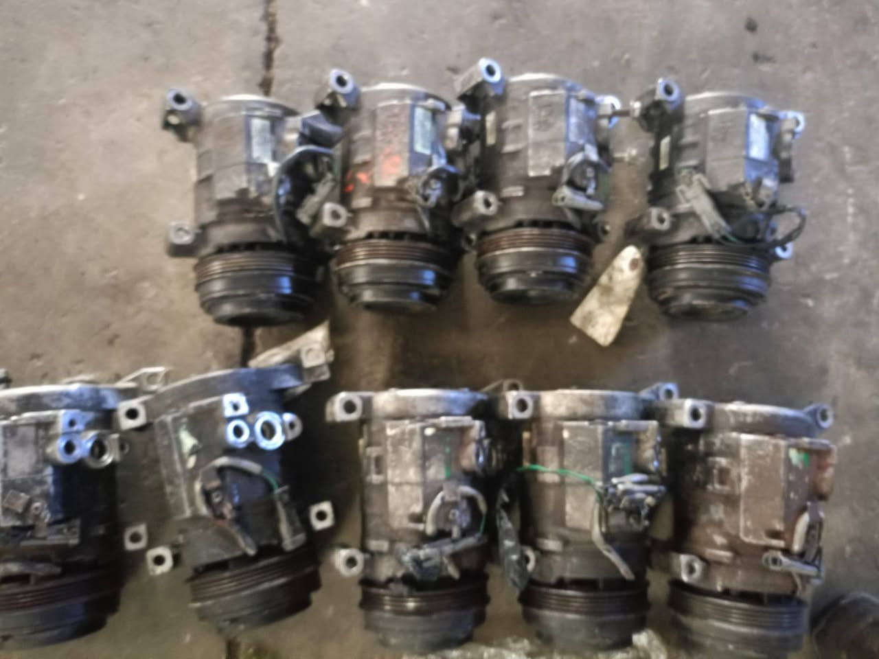 غراض الأمريكي فان استرو ودولفين جمسي جيمي ***********
