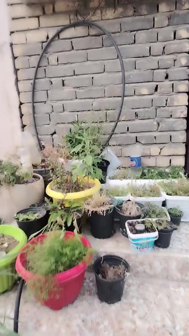 السلام عليكم بيت للايجار في حي أور خلف جامع عمار بن ياسر بناء حديث يحتوي عله منظومه انترنت وماطور ماء وسخان كهربائي وتانكي ماء حجم ١٠٠٠ لتر الارضيه مرمر وويحتوي على ٣ غرف نوم للاستفسار الاتصال على الرقم ***********
