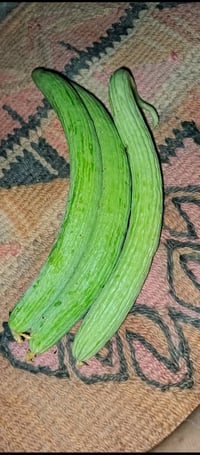 خمس جياس • درجة 1 • للبيع