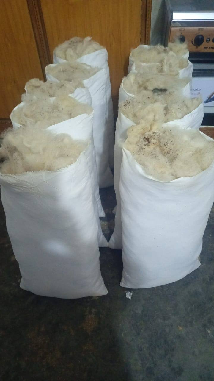 مخاد كلش نضيفه شرط فحص امام المندوب اي مشكله ترجع لأستفسار خاص ***********
