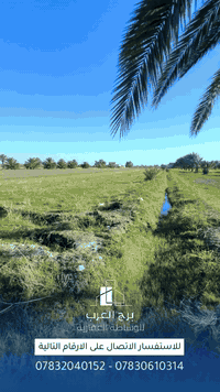 #وفرنالكم عرض #جديد من عروضنا #المميز   في مكان مميز لارض زراعية تتكون...