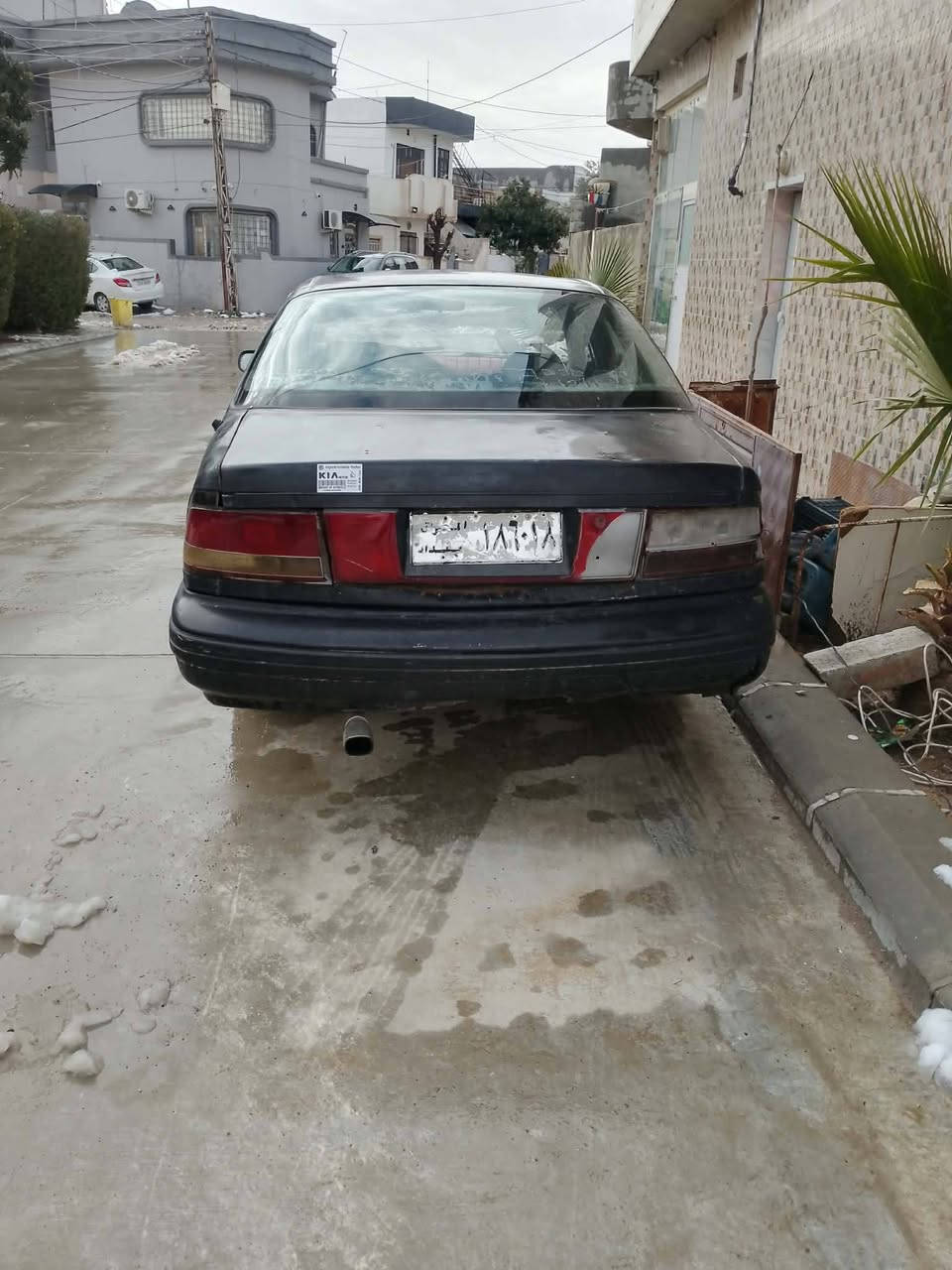 $12 *********** ***********
