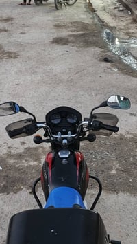 بوكسر • جبلي • ٢٠٢٢