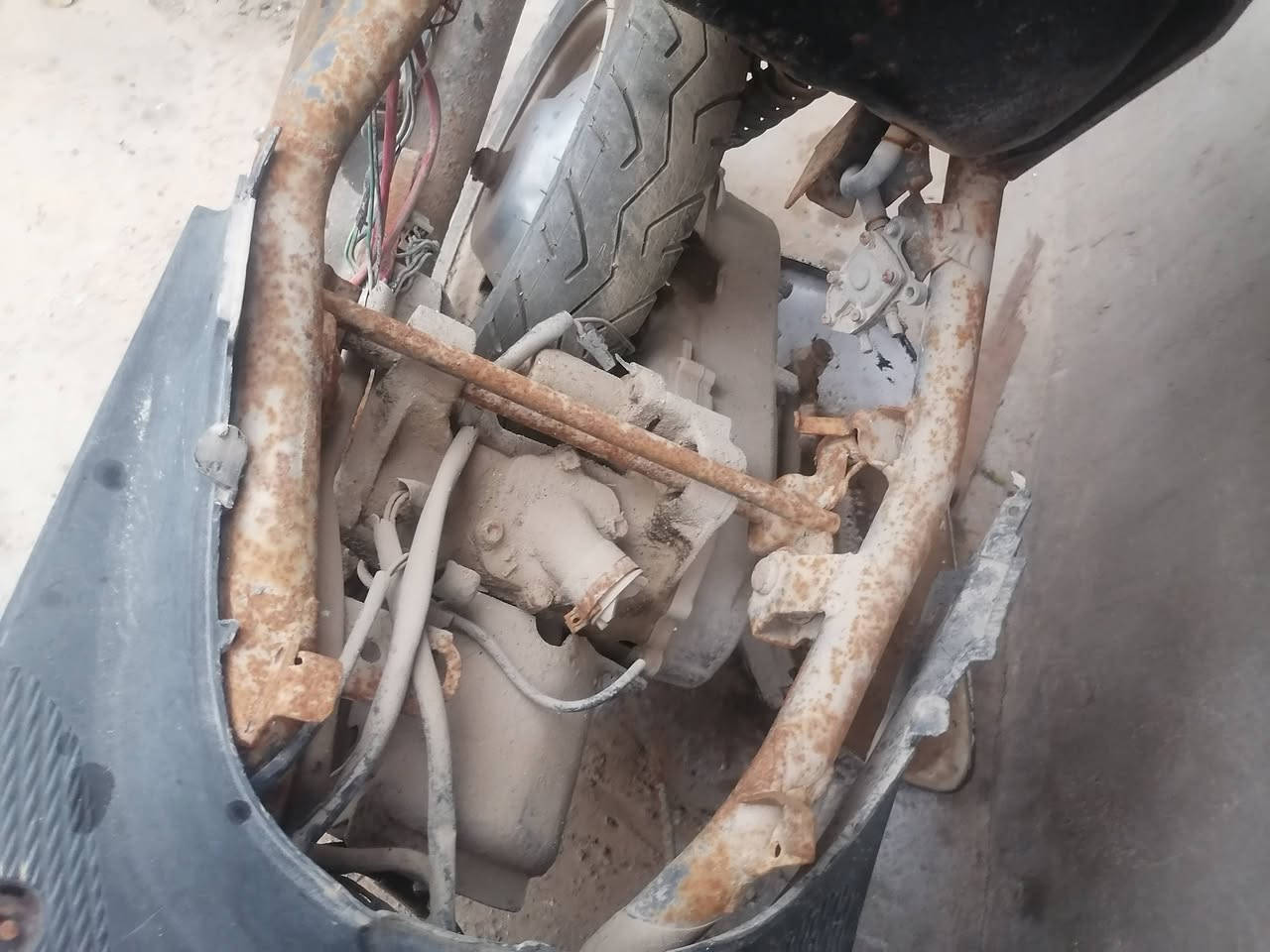 مرحبا شباب بيجي 9 زروف رب ماباقي راسه ابيعها كوم حديد الياخذها اتعبه حيرتني مشكلته التايرات نضيفات اصليه اليريد يفصخها ويبيعها تفيده اليجفتها تكفره 600 كفره عدل وكبل لشماعيه عنواني زبير يم معمل البترو الشراي يذب سعره


**إذا كنت صاحب هذا الإعلان وتريد حذفه لأي سبب، رجاءا أرسل رسالة إلى الدعم الفني**