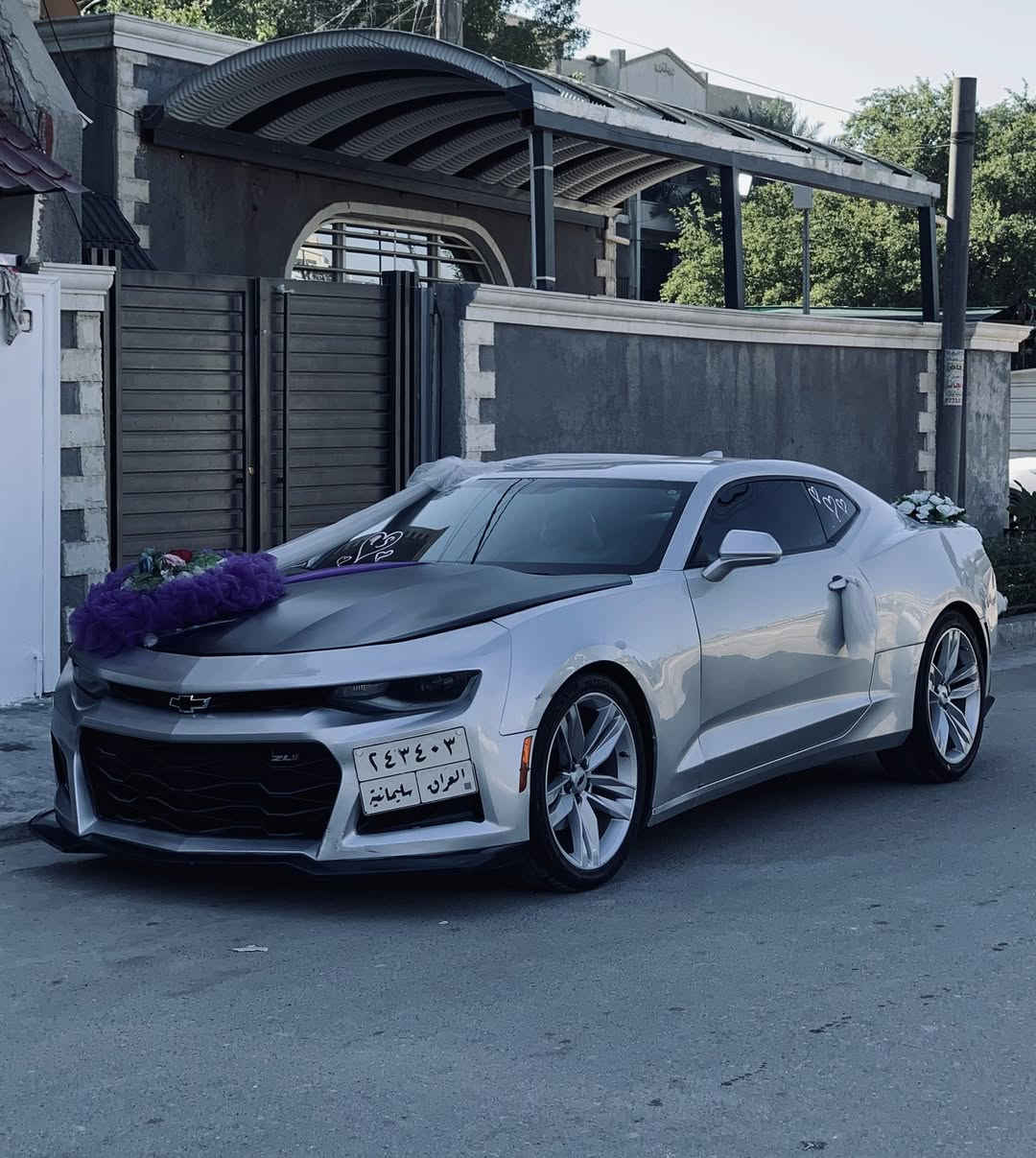 سلام عليكم 🫡 بيع او مراوس اقره للاخير
شوفرليت كمارو 2017 وارد امريكي السياره سبعينيه مختمه كلها بيها 3 قطع صبغ علشرط ( شواصي + لغود + تكم + قماره + حوض ) اكفلهن من الشخط وين ميعجبك افحص مكينه وكير بلاديات  مكينه 3600 شرط شلعه تشك الكاع ودبات  المواصفات 
1.تشغيل عن بعد + بصمه + هندبريك دكمه
2.كشنات جلد + كشنات كهرباء ثنينهن 
3.كشنات تدفئه وتبريد وستيرن تدفئه
4.شاشه اكبر حجم + كار بلاي 
5.سستم سماعات بوس + شفتات ستيرن
6.تحكم ستيرن اربع جهات + شفتات
7.انضمه قياده 3 + مانع انزلاق 
8.تحديد مسار + شاشه اعطال السياره فول الفول عده الفتحه اخوان كلشي موضح بلمنشور السياره بشرط صدرها امامي خلفي جديد اذا بيها طكه بصدر ترجع السياره تبريد ثلج جاهزه عل اخر حبايه تحويل ثاني يوم سنويه مساقطه السعر 118   وبيها مجال بسيط الميعجبه ختولي يلكه الاحسن منها كلشي اكو بلسوك 🖤 السياره بدون ايرباك 
*********** اتصال فقط 
*********** واتساب فقط 
اسف عل اطاله 🖤
