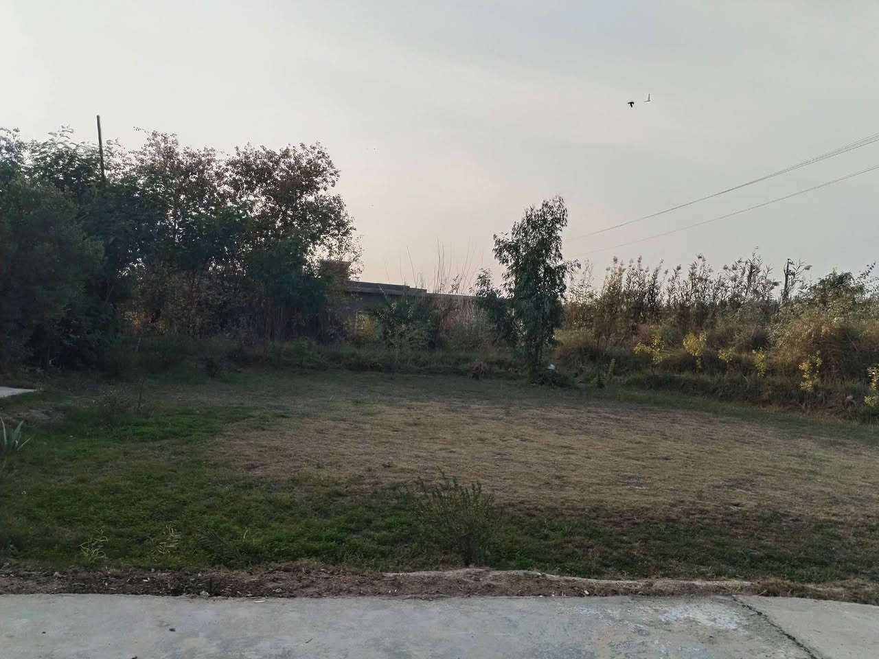 السلام عليكم للبيع ٣ دونم حي الزهراء يم معمل الحليب عل مشروع صادات كافة الخدمات موجوده ماي كهرابه زراعي سند ٣٥ السعر ٣٠٠ بيهن مجال اللاستفسار اتصال *********** مراجعه مكتب النوارس شارع مستشفى الامام علي ***********
