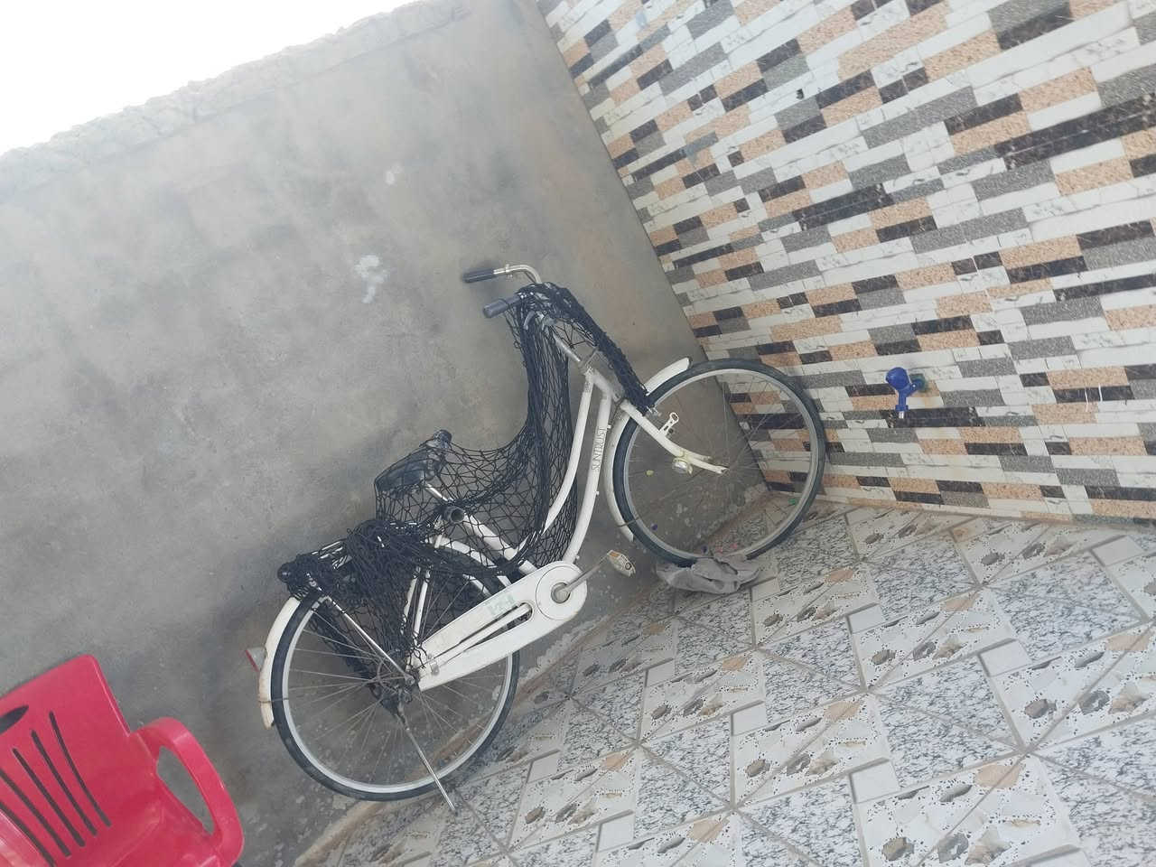 سلام عليكم بسكل للبيع حجم ٢٦  مكاني حله حي الجزار تعال خاص سمي حسوني حسوني طب علي مراسل سعر خاص


**إذا كنت صاحب هذا الإعلان وتريد حذفه لأي سبب، رجاءا أرسل رسالة إلى الدعم الفني**