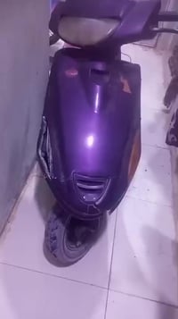 نثيه • فراشه • النجف