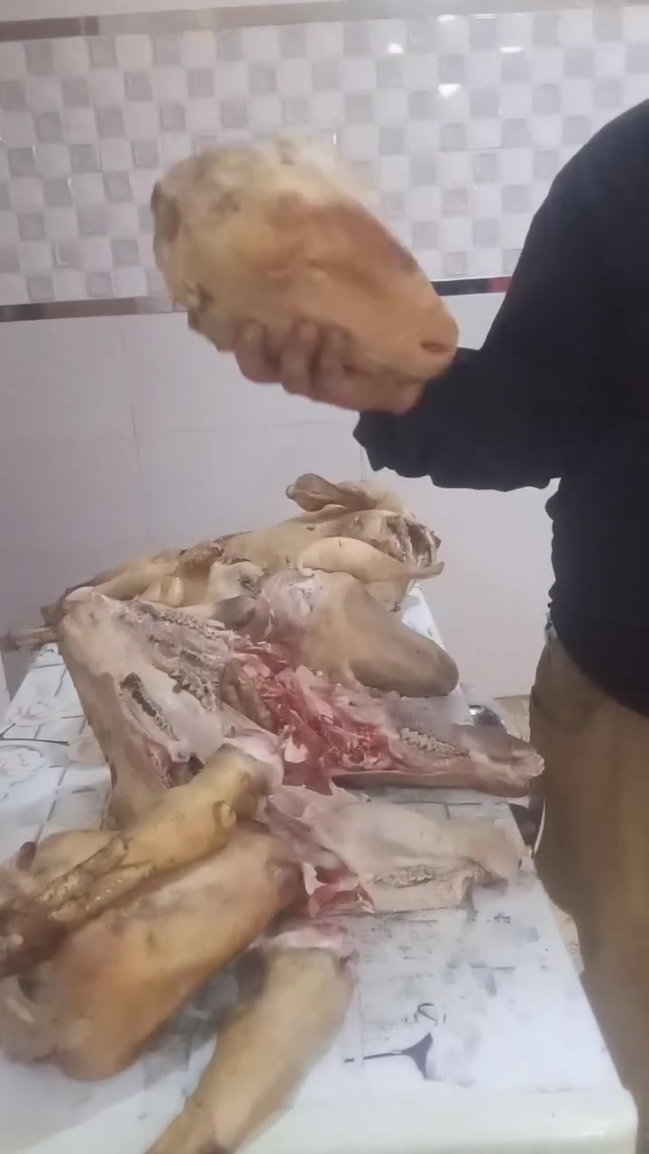 توفر باجات الوحده ب 13


**إذا كنت صاحب هذا الإعلان وتريد حذفه لأي سبب، رجاءا أرسل رسالة إلى الدعم الفني**