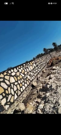 ديكور بيت • حديقة