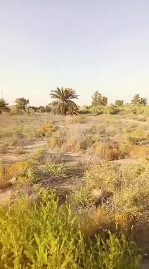 السلام عليكم 2دونم للبيع كافات الخدمات.
سند 25مداور ثاني يوم تبعد عن تبليط مجمع 50م
مكان /طريق دغاره مدخل مجمع الحرمين السكني 

‭***********‬

