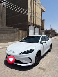 سيل ٥ • رقم بصره • ماشيه ٣١