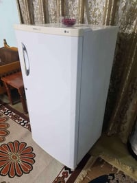 ثلاجة ال جي • ١٠ قدم • تجميد فول