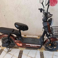 دراجة شحن • جديدة • للبني