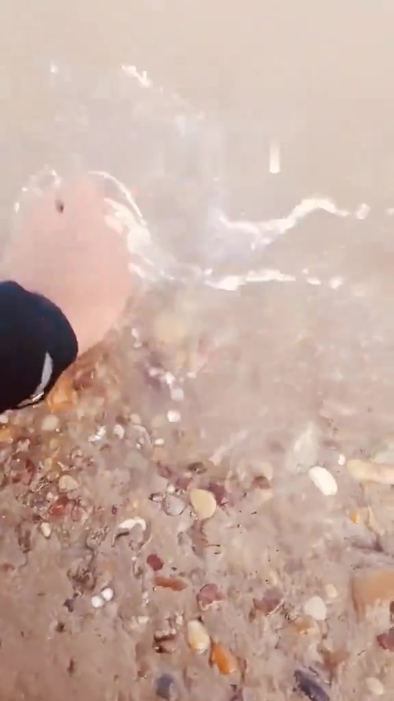 لبيع


**إذا كنت صاحب هذا الإعلان وتريد حذفه لأي سبب، رجاءا أرسل رسالة إلى الدعم الفني**