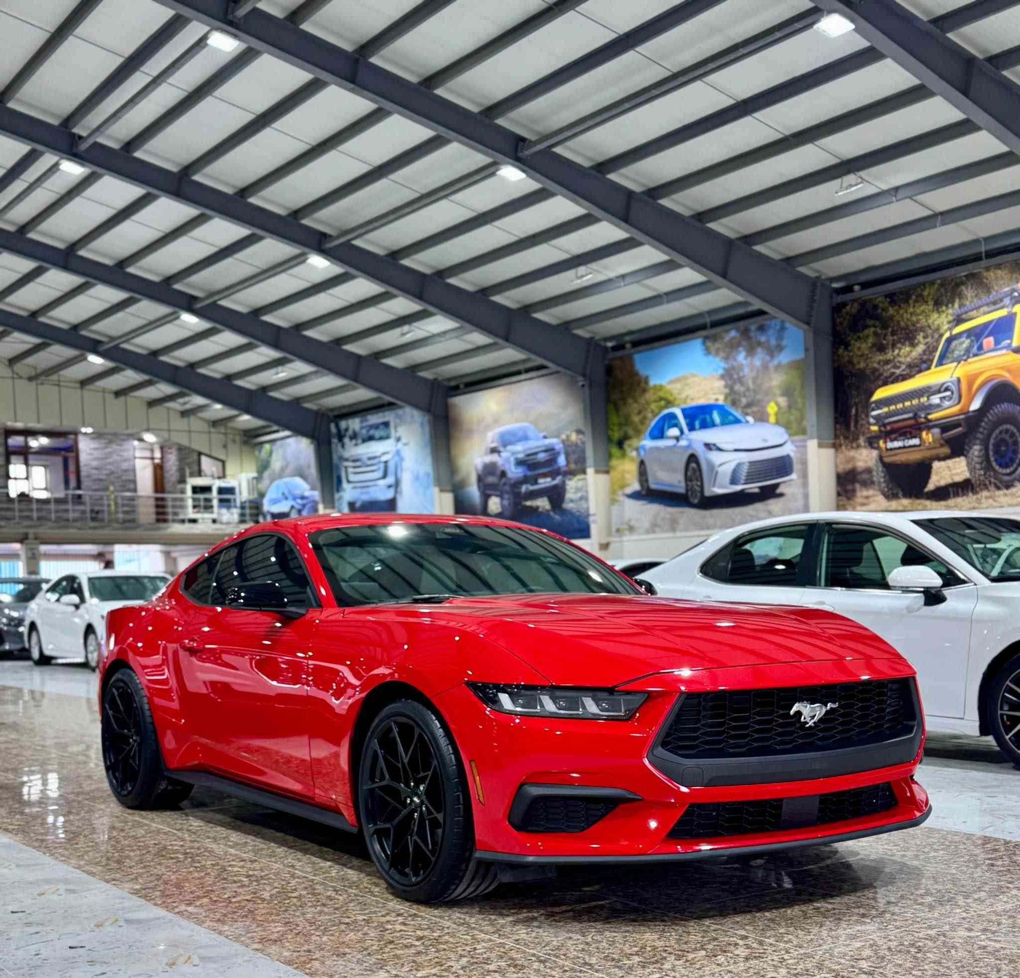 فۆرد مۆستانگ ٢٠٢٤ ئیکۆبوست
دەرگاو پەڵەیەک لە چاملەخی دواوە لای سایەق بۆیاخە
بێ ناو گرتن
ئێرباگ تەنها شان تەقیوە بیلادی سەر سەیارە بۆ ی دانراوەتەوە
پێشو پشتی کەپسە 
١٦ هەزار رۆیشتوە
وێنەی ڕوداوەکەشم داناوە
ژ. مۆبایل 
***********
واتساپ
***********
نرخی 220 قوفل رانية, السليمانية
