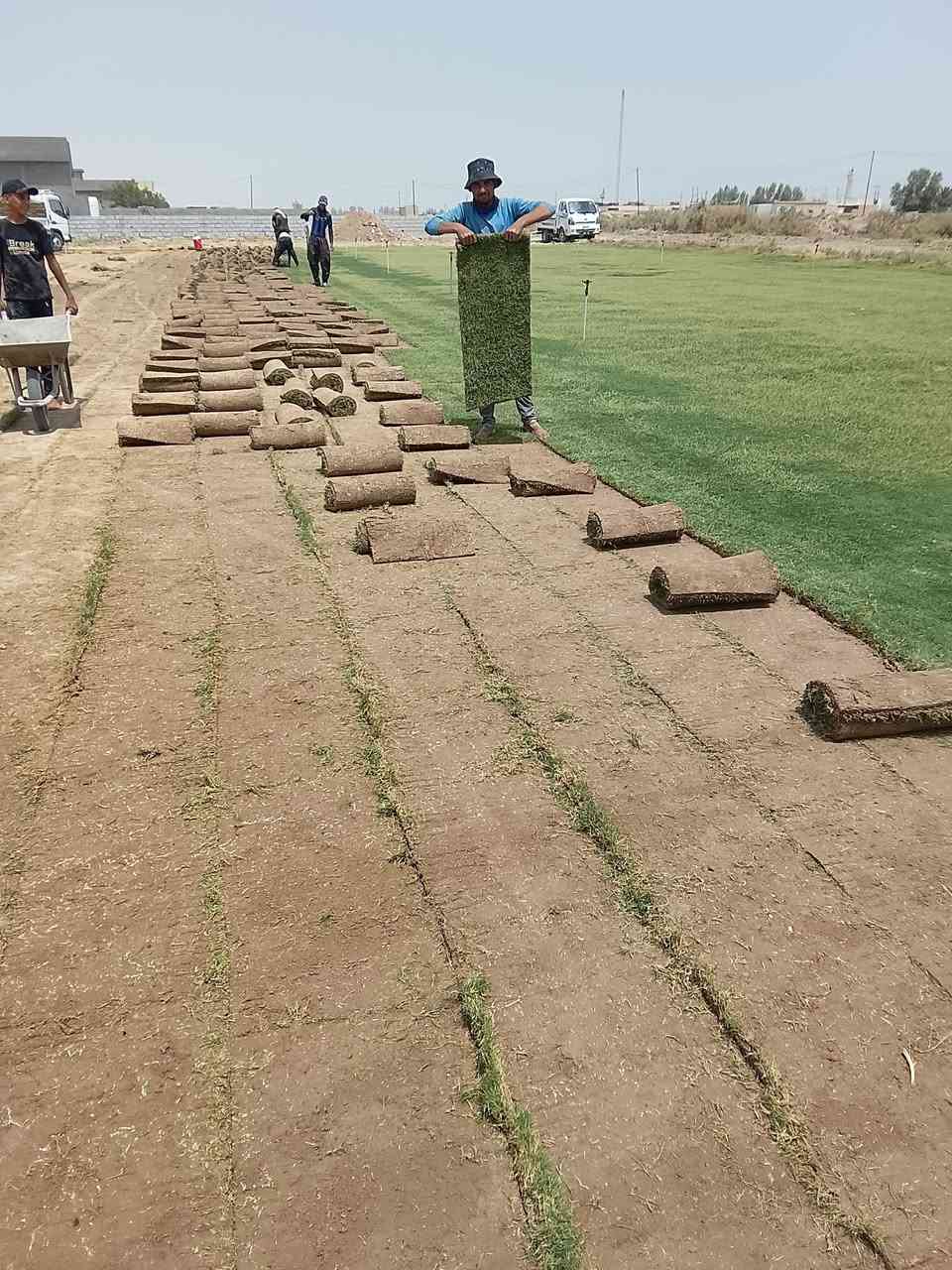 بسم الله الرحمن الرحيم
تم توفير حالين عدنة تو صيل وتجهيز الثيل الطبيعي 

لكل محافضات القراق 

 ويتوفر زراعة الثيل وتوصيل 

حسب طلب النوع الثيل والكمية  ***********

 

ويتوفر توصيل ثيل طبيعي وشتلات زراعية حسب الطلب

🌹🌳🌱🌵🍀🌿🪴🥀🌷🪴🌴

والتوصيل لكل محافضات القراق  ***********

والزراعة تكون زراعة حداءق منزرية وجزرات وصطية 

وحداءق عامة ومتنزهات وملاعب وحداق العاب 

 يمكنكم التصال علة شركة مزارع ثيل ديالى الطبيعي 

التصال 📞 📲 ***********
