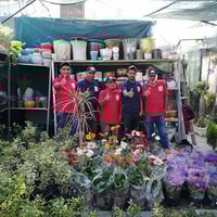 ديكورات الحدائق الحديثه عمل وتصميم جعفرالربيعي للتصاميم للإستفسار الات...