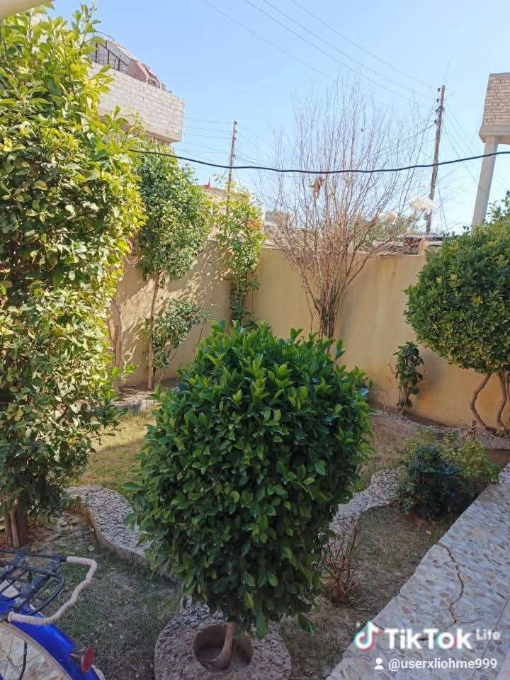 السلام عليكم اخواني هذا البيت للبيع (ملاحظة *  )مساحته ٢٠٠ متر للبيع البيت قرب مدرسة الفارابي الابتدائيه للبنين في الاربعتألالف ٤٠٠٠ في محافظة بغداد ناحية سبع البور //ملاحضه: البيت يحتوي على طابق واحد فقط  مسلح  ((يحتوي هذا البيت على طرمة وحديقة كبيرة استقبال ومطبخ وحولي ويحتوي على غرفتين نوم 2)) **ملاحظة السعر الخاص مراسلة (السطح مطبق شتايكر)
مراسلة خاص على مازنجر او اتصال أو مراسله عل واتساب على أحد الرقمين 
اسيا  بي واتساب***********
كورك   بي واتساب***********
