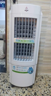 جديدة • صارلها سبوع