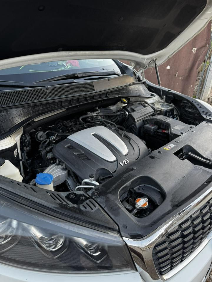 سورنتو خليجي للبيع 2018  مكفوله كفاله عامه حته الدعاميات حساسات امامي خلفي بصمه اشارة ترحيب بالدوسات ماشيه 55 الف حقيقي قابل للزياده السعر 268 وبيها مجال حك الجيه مكان السياره ديالى الخالص الشراي يتصل على الرقم ‭٠٧٧١ ٠٥٤ ٣٥٤٧‬ او الرقم ‭٠٧٨٥ ١١٤ ٩٧٩٩‬
