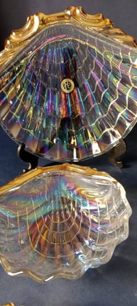 خشاف ياباني • الصدفة • ٥بوله