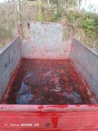 ستوته للبيع شقاله سلف هندر مكينه ناعمه لايت عالي ناصي السعر 550 بيها م...