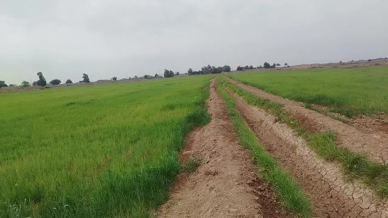 شروه للبيع المساحه ٤٠ دونم
طريق سيد أحمد
الساده ال مير اتصل وتدلل
***********
