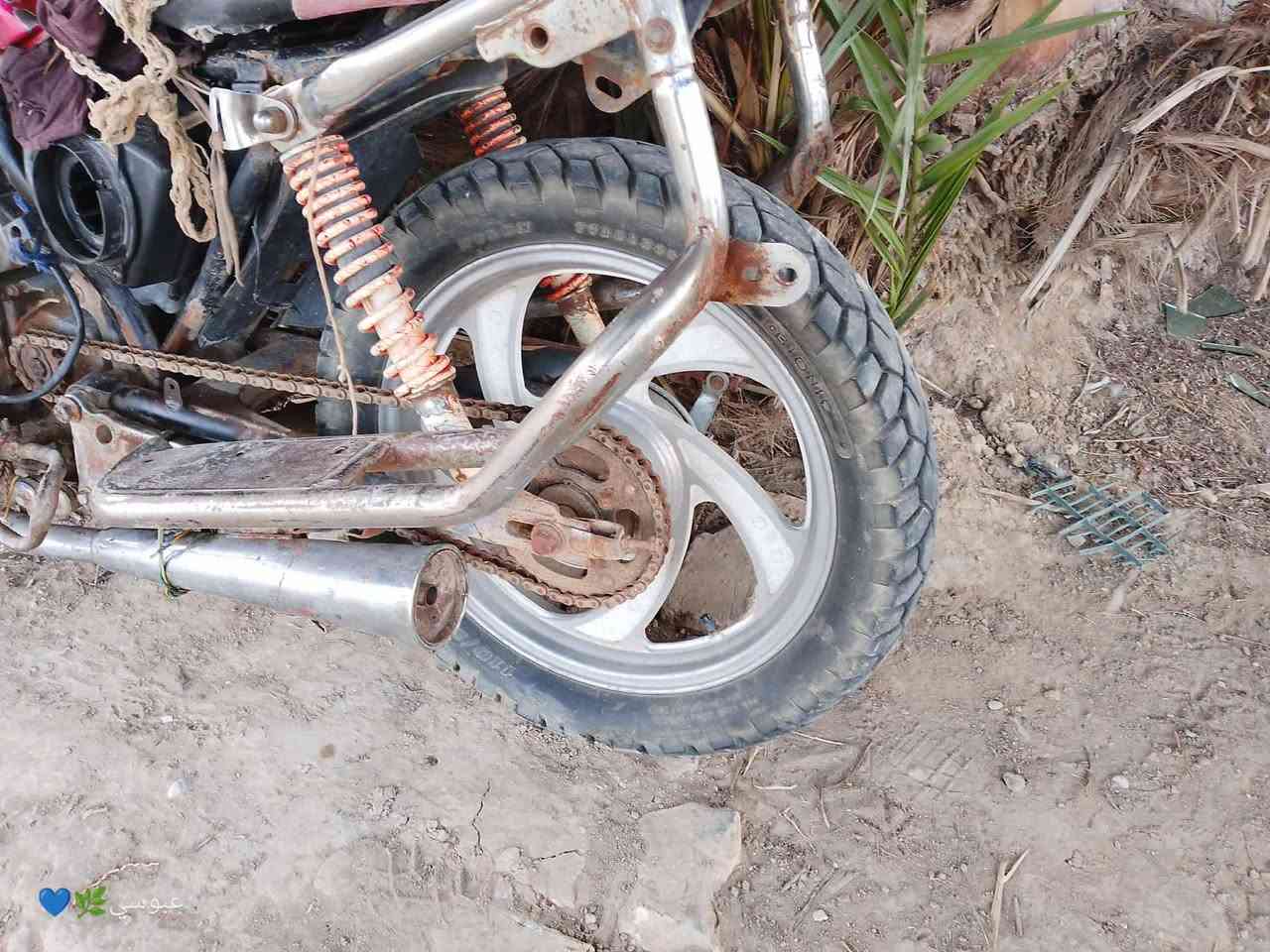 جونده للبيع العنوان الديوانية قضاء سومر السعر خاص


**إذا كنت صاحب هذا الإعلان وتريد حذفه لأي سبب، رجاءا أرسل رسالة إلى الدعم الفني**