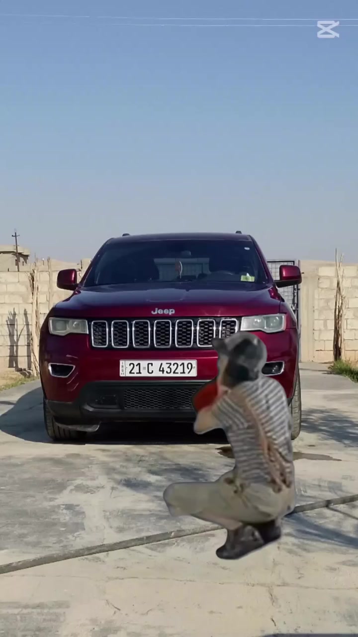 السلام عليكم 
للبيع🚗🔥
جيب لاريدو موديل 21🔥
رقم اسليمانيه 
للتفاصيل أكثر راسلني وتساب وتدلل
***********
