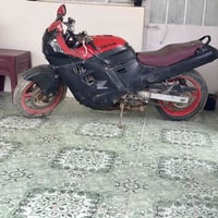 بطحة قرش • ياباني • أبو غريب