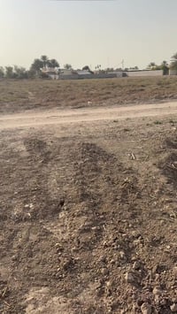 ٣دونم طابو تريد دونمين ابيعلك تريدهن شلع ابيع  بغداد اليوسفيه معمل زين...