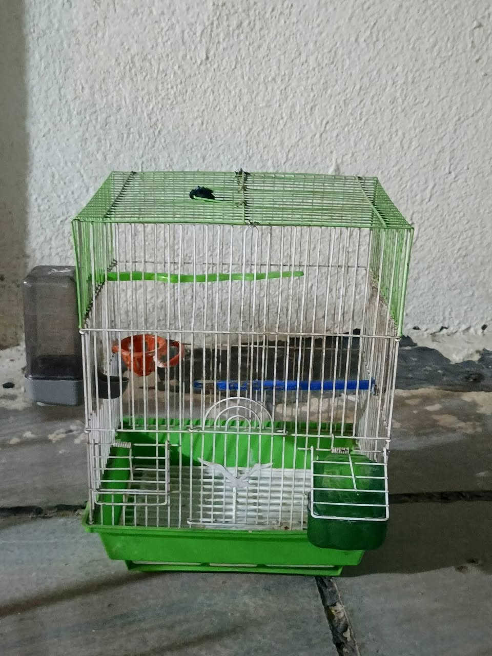 السلام عليكم اقفاص للبيع الحديد الصغار الواحد ب5 وبيهن مجال والجبير ويا بيت طيور حب ومحتوياته ب8 والخشب ب25 وبيهن مجال للشراي المكان حي التراث مال البياع


**إذا كنت صاحب هذا الإعلان وتريد حذفه لأي سبب، رجاءا أرسل رسالة إلى الدعم الفني**