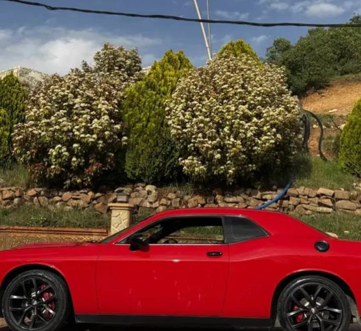 جالنجر للبيع او مراوس GT2021
قطعه وحده صبغ فقط
السعر 200ورقه


**إذا كنت صاحب هذا الإعلان وتريد حذفه لأي سبب، رجاءا أرسل رسالة إلى الدعم الفني**