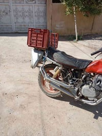جونده • رقم ابيض • حله