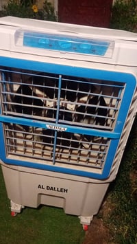 مبرده • قليلة استعمال • بصرة جبيلة