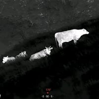 بسم الله الرحمن الرحيم  إن الله وملائكته يصلون على النبي  يا ايها الذي...