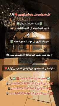 زيارات حملة العقيلة زينب • النجف الأشرف • خدام الحملة