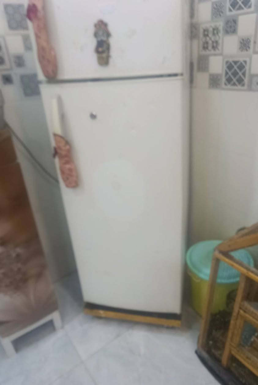 ثلاجه نظيفه ما تعبانه ولا مجنجره تجميد هذاك التجميد نظيفه من الاخير عمارة, ميسان


**إذا كنت صاحب هذا الإعلان وتريد حذفه لأي سبب، رجاءا أرسل رسالة إلى الدعم الفني**