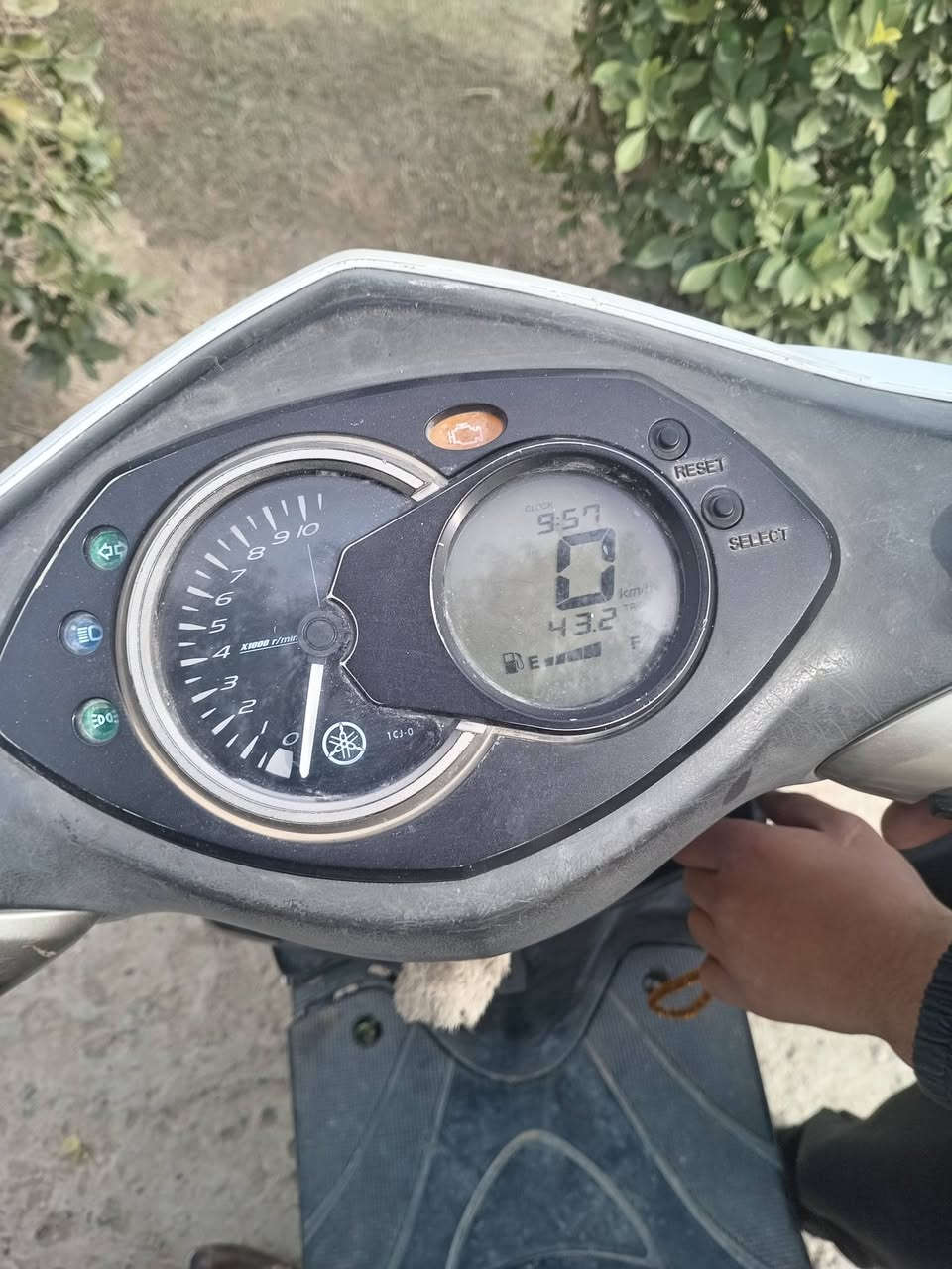 دراجه ماكس فحل دراجه حلوه مكان الدوره سريع الجديد قرب جوهره بغداد. / ***********/السعر 500 وبي مجال
