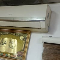 سبلت • توست • شغال