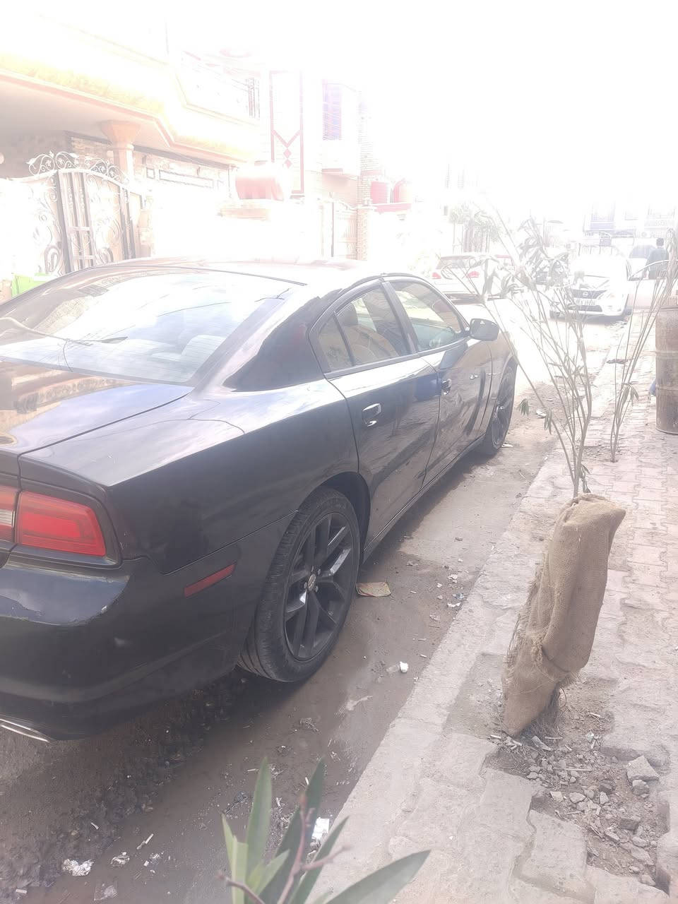 السلام عليكم
جارجر مديل 2014 ادوات ادوات كصه جنطه

مكينه 3600 

مكينه وكير وحداده بلكارتون كفاله 

تخم تاير جديد 

#ادوات_ادوات_متومة_ارقام_وسنويةشمالي إنكليزي الجديد 

تبريد _تدفئه 

تشغيل عن بعد 

السيارة دخول جديد 

السعر 55  وبيهه مجال

العنوان البصره 

***********
