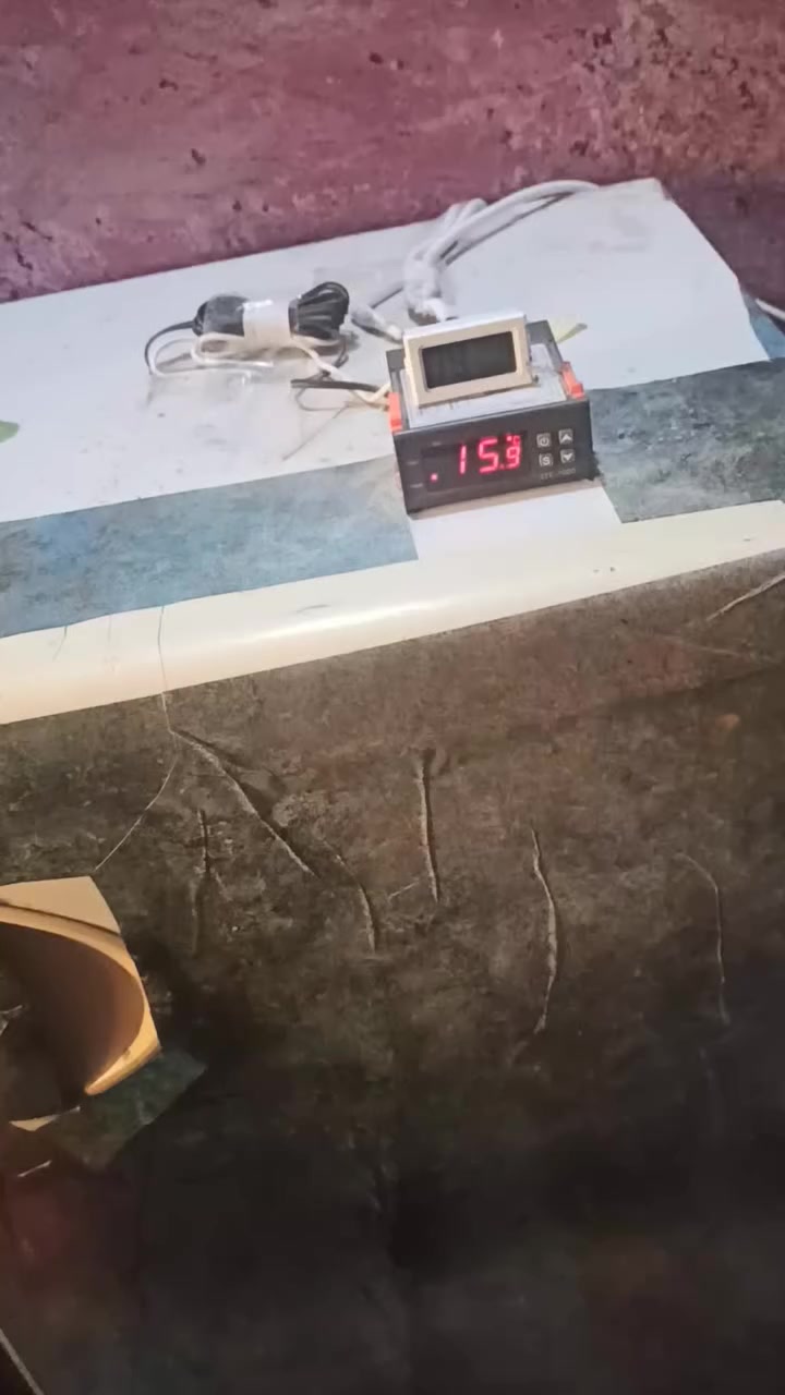 متاح لبيع فقاسات العدد 2/نسبة التفقيس 100بل 100 باذن الله/يريد سعر يرسل خاص وبخدمتكم/المكان سدة الهنديه مهناويه قرب مرقد بنات الحسن الهاشميات


**إذا كنت صاحب هذا الإعلان وتريد حذفه لأي سبب، رجاءا أرسل رسالة إلى الدعم الفني**