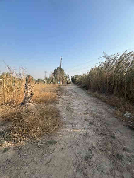 ٤ دونم طابو زراعي عقد ٢٥
بغداد مشروع الوحدة خلف شركة ماء السد
للإستفسار ☎️***********
