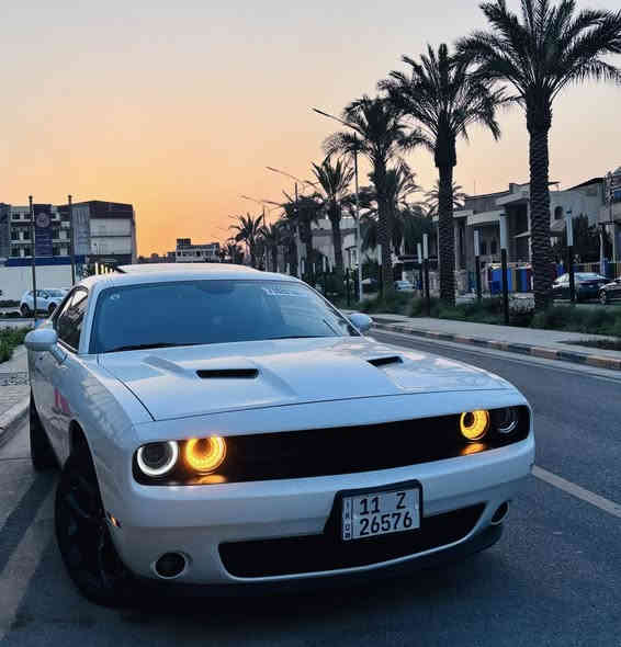 السلام عليكم 
جالنجر ٢٠٢٣ لاست كول
محرك ٣٦٠٠ ستة سلندر
بجم كبس  
فتحة شاشه جبيره كشن تدفئة هيتر ستيرن سستم صوت داخل كنتاره
رقم بغداد باسمي 
السيارة ماشية ٤٠ الف 
حادثها الباب مبدل نفس اللون 
والجاملغ الخلفي مبدل الكفر مالته ومصبوغ
وصور الحادث مرفقة وية الاعلان 
شباب السياره اني مستوردها 
والي يفتهم بالسيارات يعرف بيش كاصها وبيش صايره عليه   
اذا شفتها غالية او مو مناسبة فكلمة طيبة كافية وبالاخير هو كلة حديد وملك الشارع
 سعرها ٢٤٥ ورقة
مكانها باليرموك 
وهذا رقمي ***********
