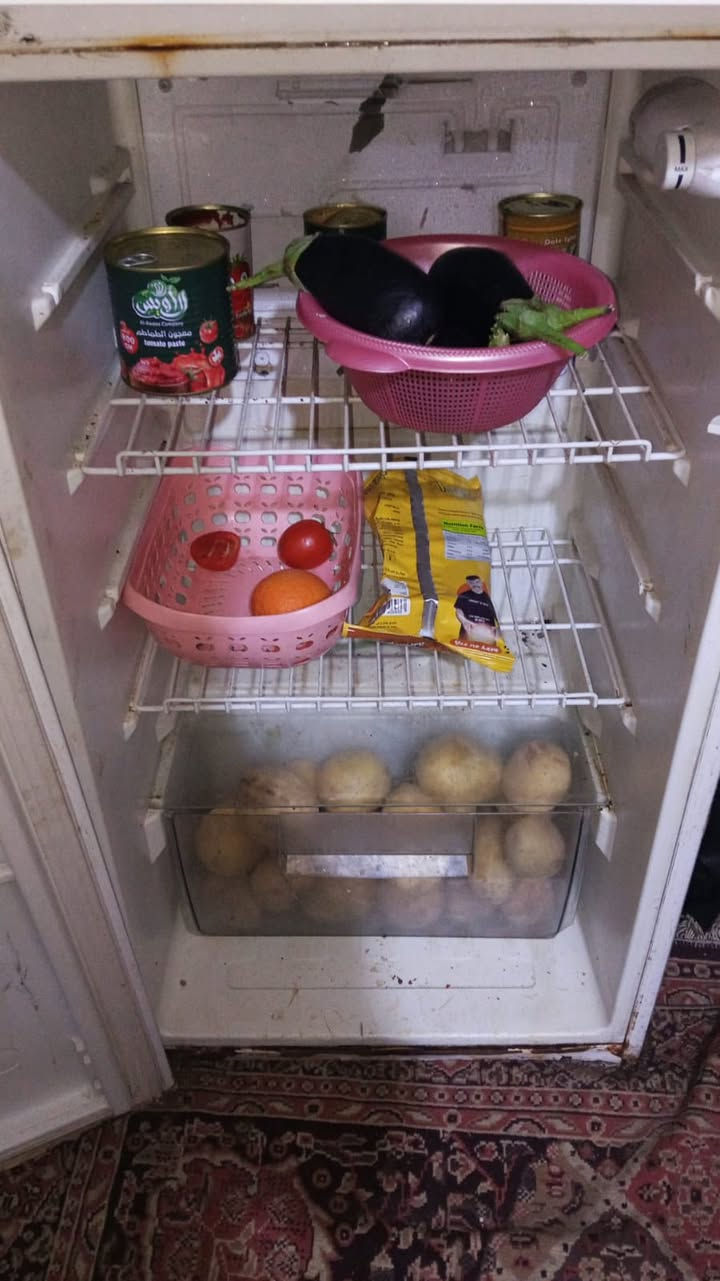 للبيع 

حجم 10 قدم


**إذا كنت صاحب هذا الإعلان وتريد حذفه لأي سبب، رجاءا أرسل رسالة إلى الدعم الفني**