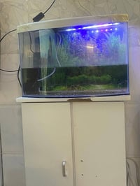 حوض سمك • ماطوره شغاله • كربلاء