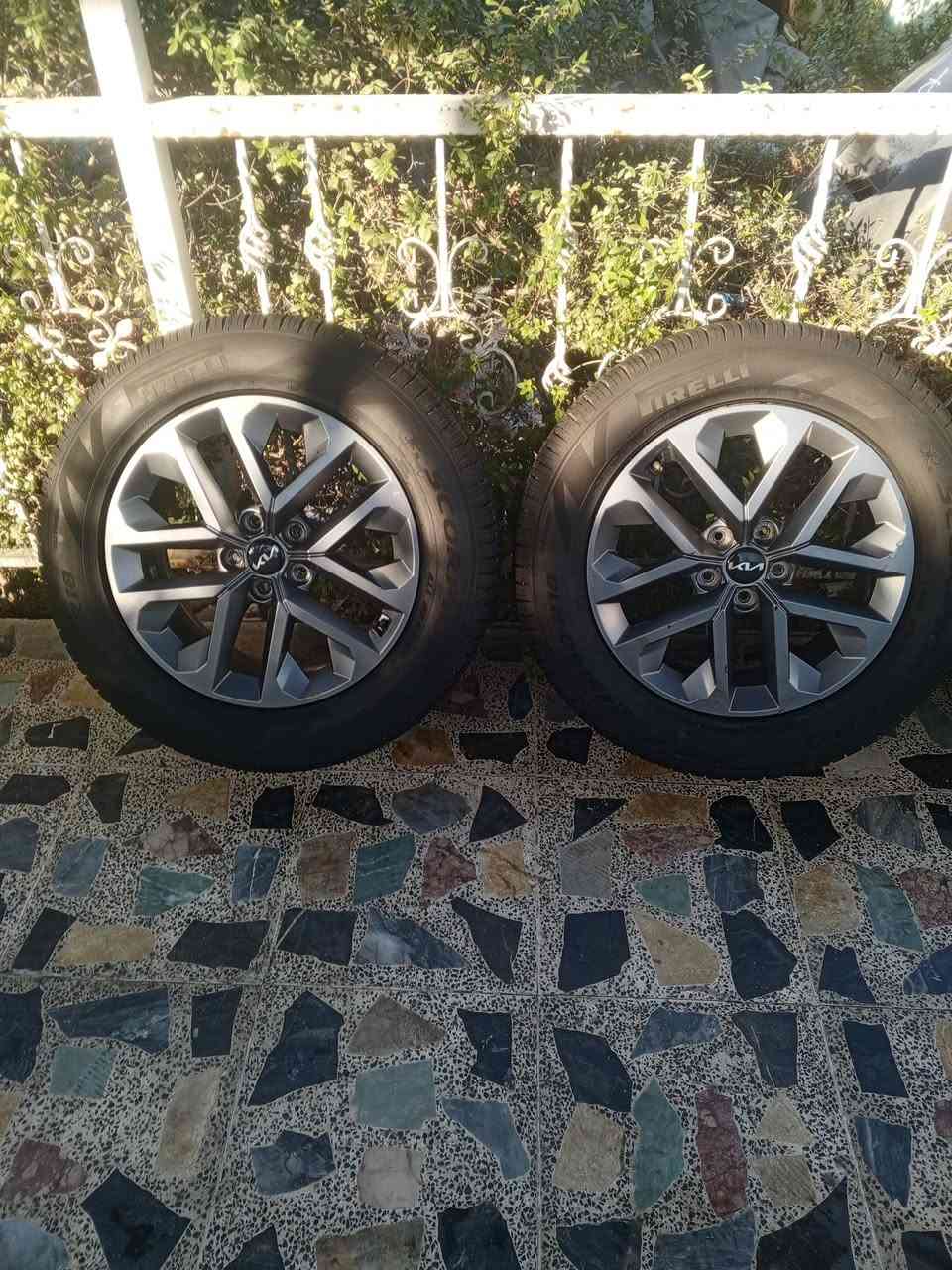 سلام عليكم تخم ويل كب زيرو ماماشي ابد كيا ترولايد المكان بغداد السعر 8ورقات وبيهن مجال بسيط ***********
