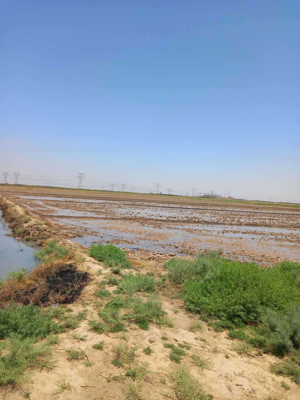 السلام  عليكم  ارض للبيع ٢٠ دومنم  عقد  ٣٥  مجدد لحد ٢٠٢٨ موقع الارض  النهروان مي سكي متوفر ***********
