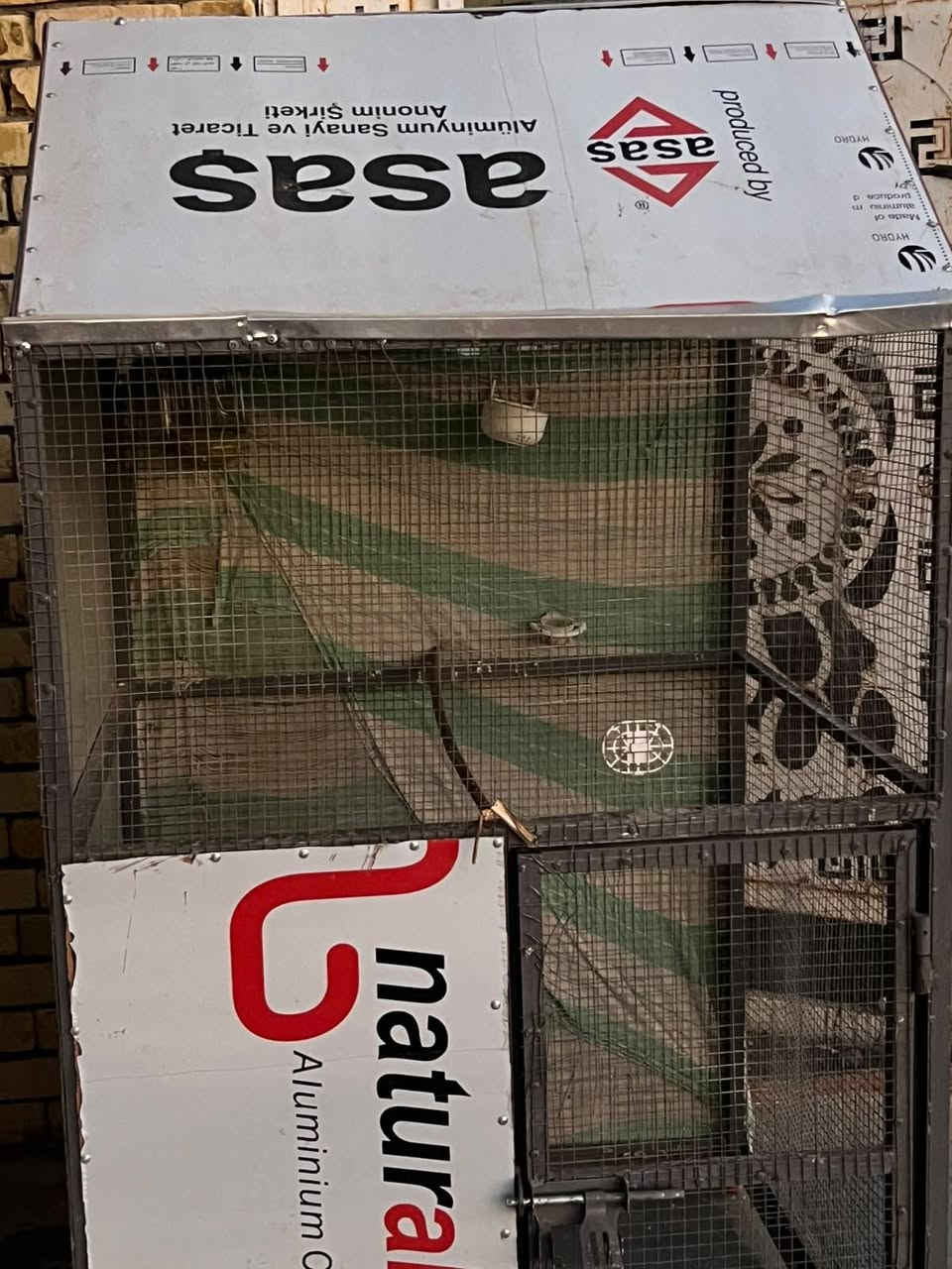 سلام عليكم قفص للبيع وسعر 120الف وبيه مجال الطيبين


**إذا كنت صاحب هذا الإعلان وتريد حذفه لأي سبب، رجاءا أرسل رسالة إلى الدعم الفني**